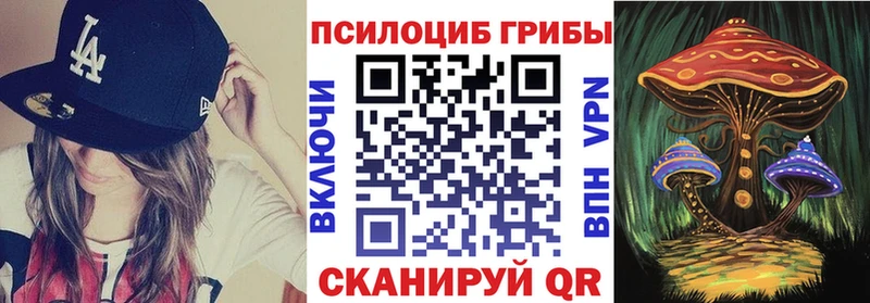 продажа наркотиков  Мантурово  Псилоцибиновые грибы Psilocybe 
